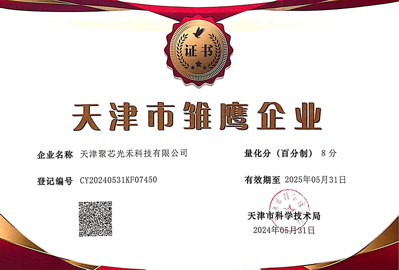 天津市雏鹰企业